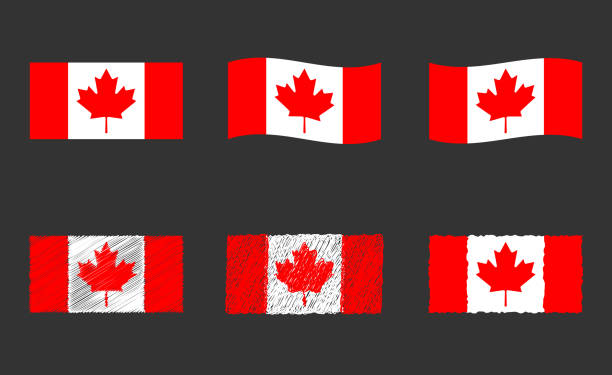 ilustracja wektorowa flagi kanady, oficjalne kolory kanadyjskiej flagi - flag canadian flag patriotism national flag stock illustrations