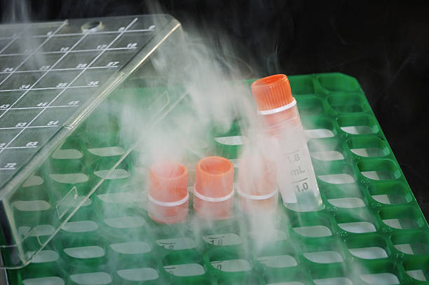 Four cryogenic tubes on a rack stock photo