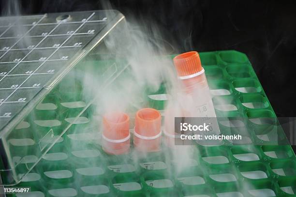 Four Cryogenic Tubes On A Rack Stock Photo - Download Image Now - Dry Ice, Storage Compartment, Storage Room