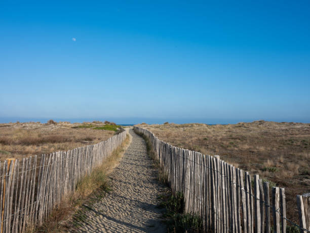istock Sandy beach path with wooden railings. 1135468992