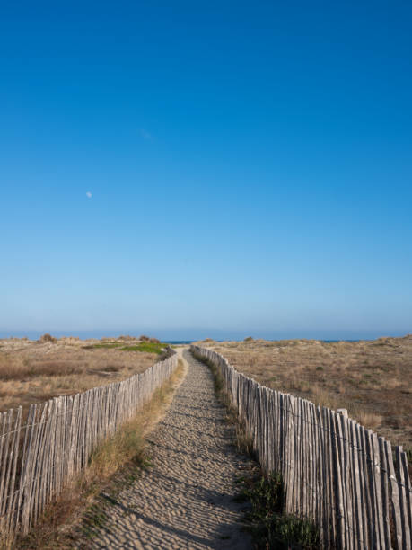 istock Sandy beach path with wooden railings. 1135468993