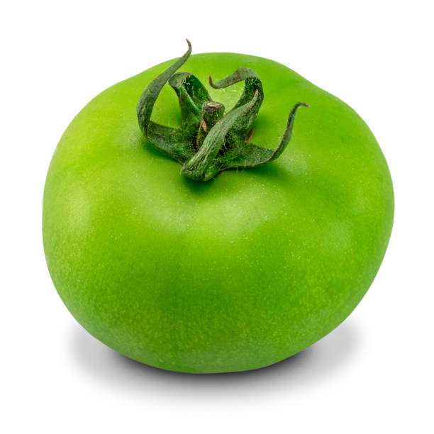 istock Green tomato isolated on white background 1135470169