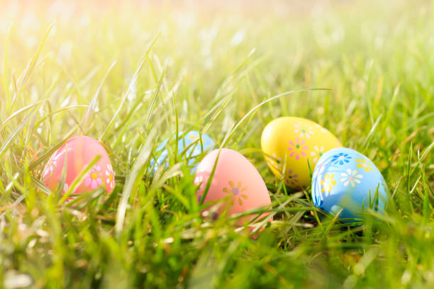 istock Colorful easter eggs on the sunny green meadow. 1135473703