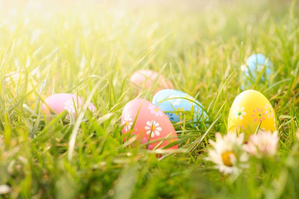 istock Colorful easter eggs on the sunny green meadow. 1135473708