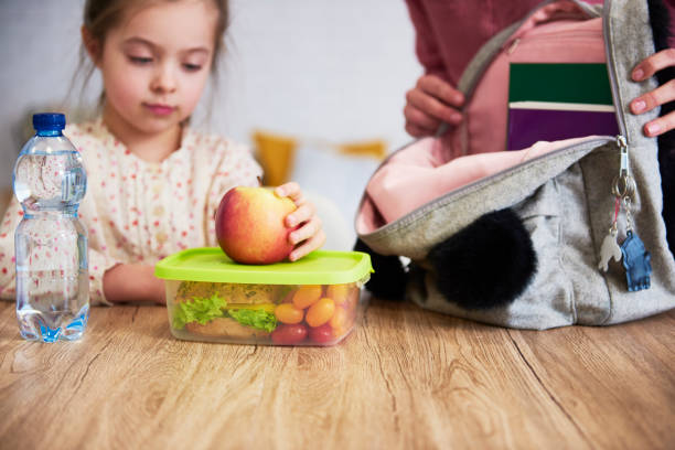 school lunch box met gezonde voeding - schoollunch stockfoto's en -beelden