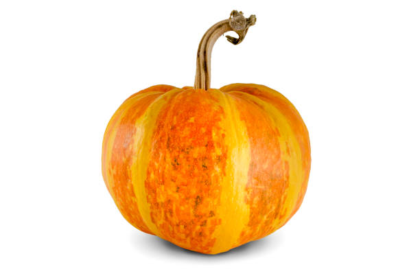 istock Yellow-orange color pumpkin isolated on white background 1135474151