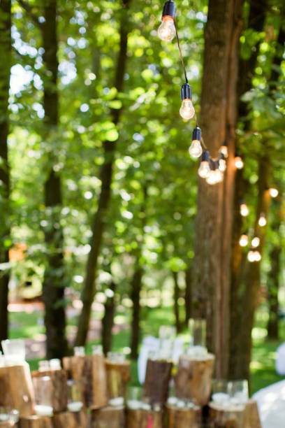 istock wedding decoration with candles on stumps 1135475470