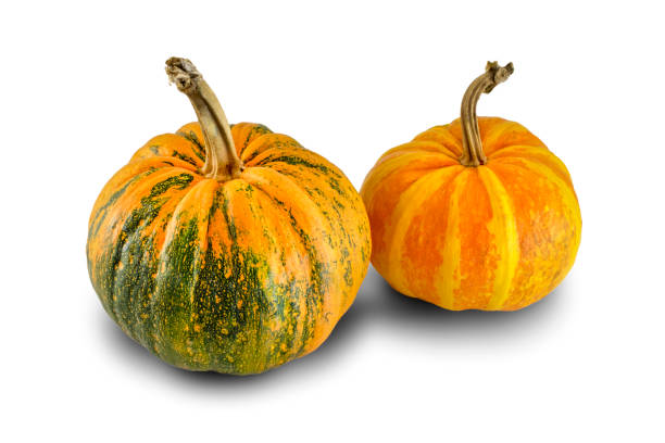 istock Two different color pumpkins isolated on white background 1135479387
