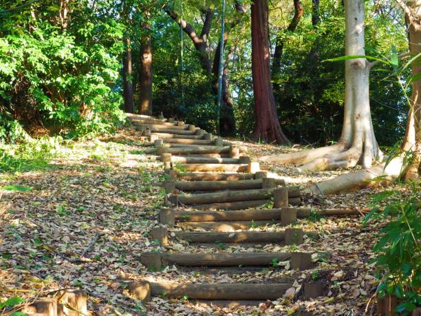 istock trail with fallen autumn leaves 1135479940