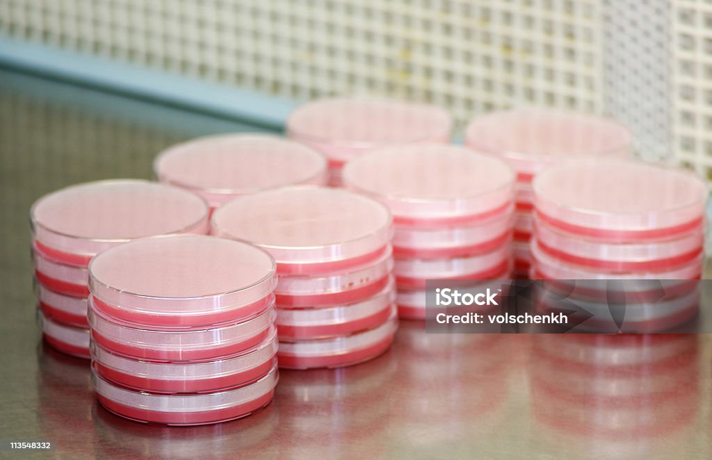 Stapel von Rosa petri Gerichte - Lizenzfrei Ansicht aus erhöhter Perspektive Stock-Foto