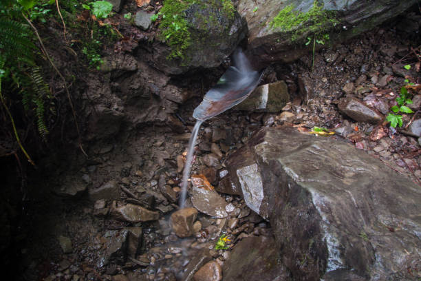 Photo of A small stream flows from a mountain spring.