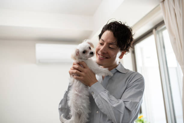 istock Man embracing puppy in room 1135484444