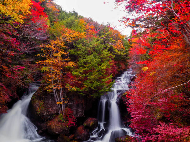 istock Nikko, Japan. -  October 16, 2018:  Ryuzu Waterfall. 1135484487