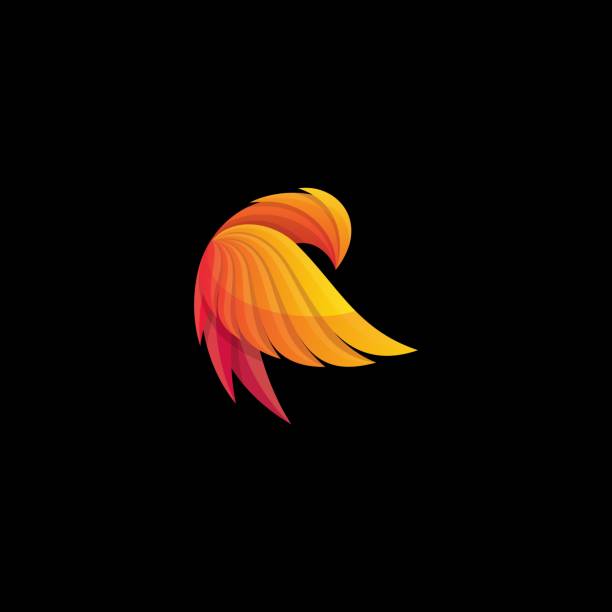 ilustraciones, imágenes clip art, dibujos animados e iconos de stock de la plantilla de diseño del vector de ilustración phoenix concept - feather peacock ornate vector
