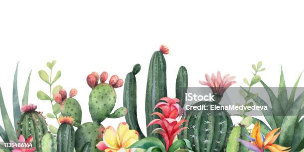 Aquarelle Vecteur Bannière Fleurs Tropicales Et Cactus Disolement Sur Fond Blanc Vecteurs libres de droits et plus d'images vectorielles de Cactus