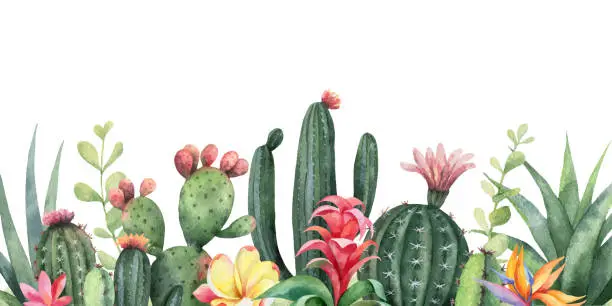 Vector illustration of Watercolor vector banner tropical flowers and cacti isolated on white background.