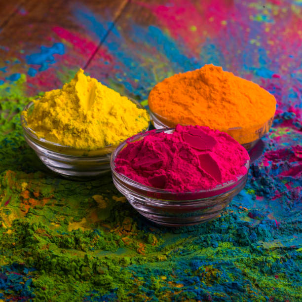 Holi color powder. Organic Gulal colours in bowl for Holi festival, Hindu tradition festive. Bright vibrant pigment closeup stock photo