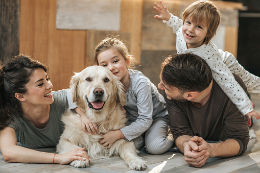 Love, dog and happy family bond of child, father and mother having fun, playing and enjoy quality time peace together. Child care, life growth and black family of kid girl, parents and pet animal