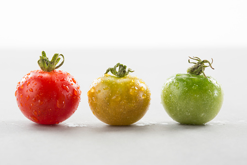 Three beautiful and fresh tomatoes in a row (one red, one yellow and one green) with dew drops, in diferent stages of maturity. Close-up. Studio photography. High key lighting.