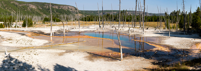 Geyser in Black Sand Basin in Yellowstone National Park in Wyoming