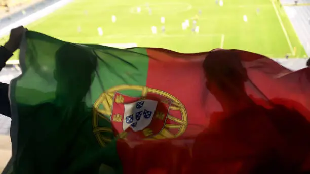 Portuguese supporters waving national flag, cheering for football team victory