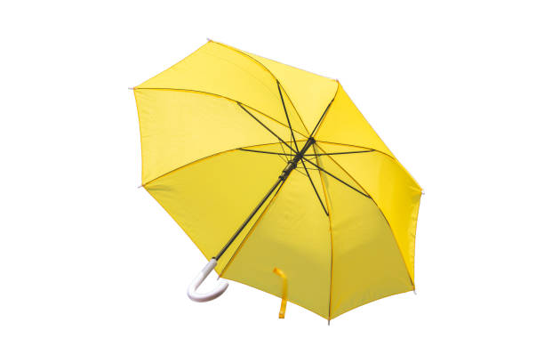 istock Yellow umbrellas on isolate white background. Used for rain, sun protection and weather protection. 1135498861