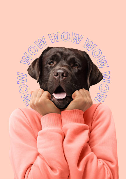collage de arte contemporáneo o retrato de la mujer sorprendida perro cabeza. concepto de cultura pop art zine estilo moderno. - animal body fotografías e imágenes de stock