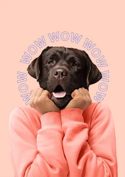 Photo of Contemporary art collage or portrait of surprised dog headed woman. Modern style pop art zine culture concept.