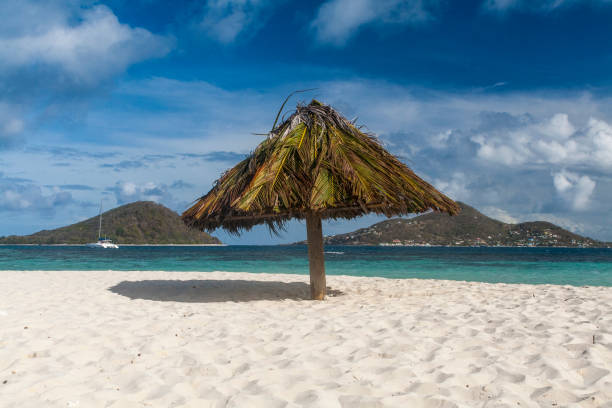 Vue sur le parasol des Caraïbes depuis l'île Mopian: parasol solitaire et îles du petit Saint Vincent et petit Martinique: - Photo