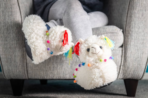 istock Young girl is wearing cute soft 3d llama slippers 1135506237