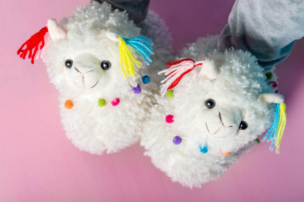 istock Young girl is wearing cute soft 3d llama slippers 1135506247