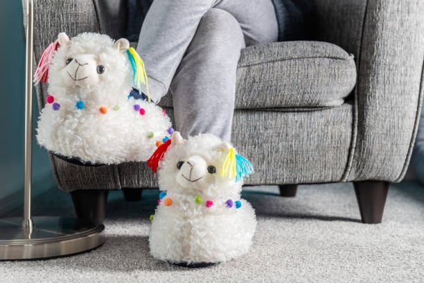 10,180 Animal Slippers Stock Photos, Pictures & Royalty-Free Images - iStock | Animal slippers on white 10,180 Animal Slippers Stock Photos, Pictures & Royalty-Free Images - iStock | Animal slippers on white