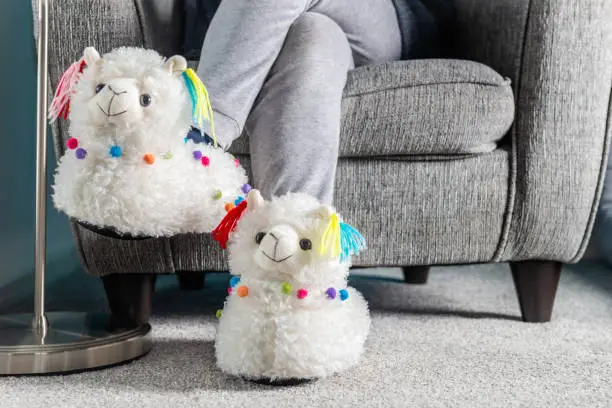 Young girl is wearing cute soft 3d llama slippers, while reading on the grey armchair