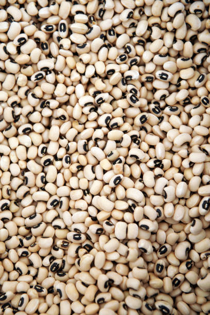 istock texture of black-eyed beans 1135506731
