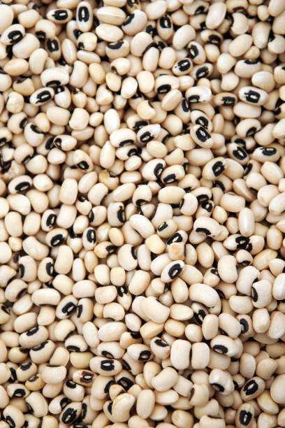 istock texture of black-eyed beans 1135508915