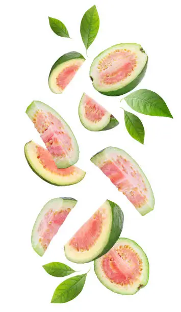 Falling guava fruits isolated on white background. Clipping path