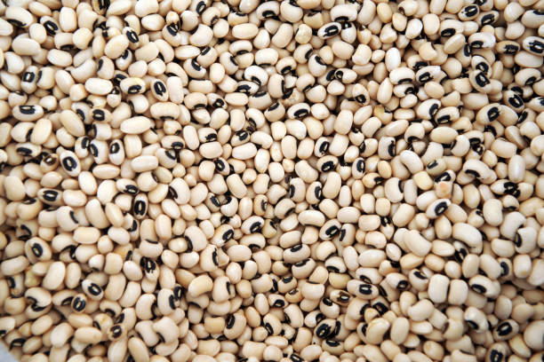 istock texture of black-eyed beans 1135509273