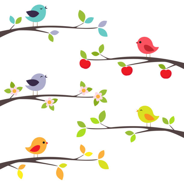 ilustraciones, imágenes clip art, dibujos animados e iconos de stock de pájaros en ramas - cute bird