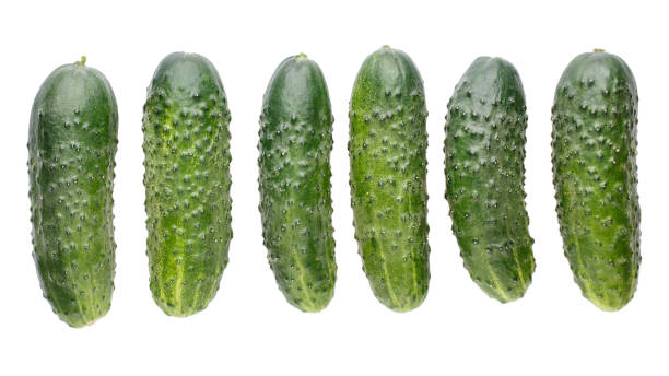 istock Heap of whole cucumbers isolated on white. Top view. 1135512047