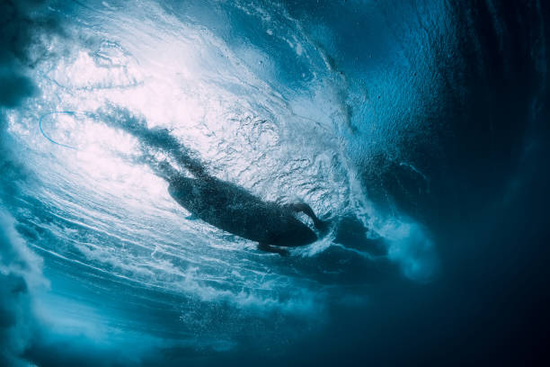 istock Surfer at surfboard swim in blue ocean, underwater view 1135512805