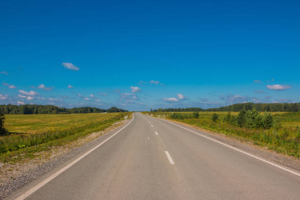 istock Road through green deep forest in Russia 1135513036