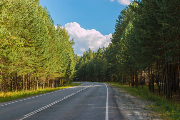 istock Road through green deep forest in Russia 1135513056