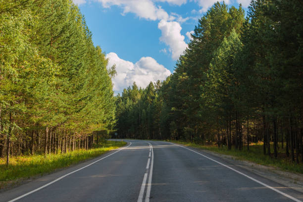 istock Road through green deep forest in Russia 1135513330