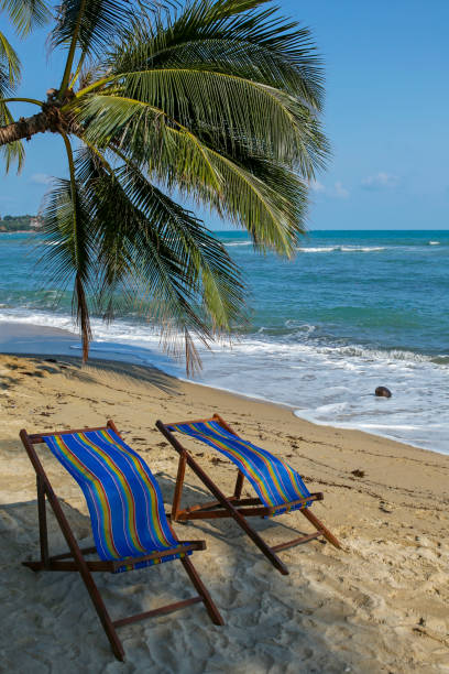 istock wooden deck chairs on tropical beach- Koh Samui, Thailand 1135515716