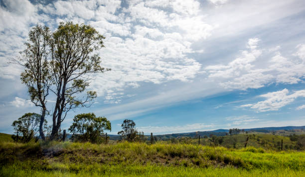 istock Australian countryside landscape 1135515804