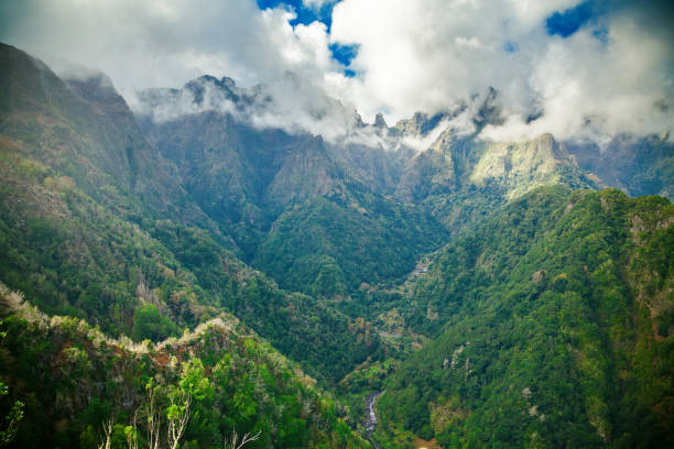 istock From Levada Balcoes, Portugal 1135518173