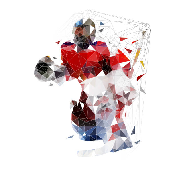 istock Hockey goalie, geometric vector illustration. Ice hockey player, low poly 1135518234