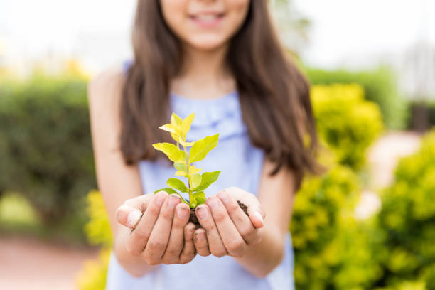 mostrare la pianta autoprotata con passione - growth plant human hand tree foto e immagini stock