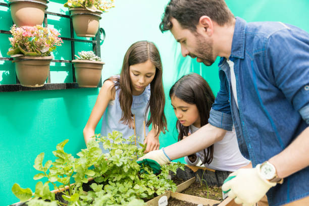 istock Green Is The Solution To The World's Pollution 1135521488