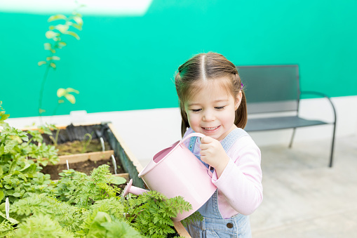 Preschool girl learning to water plants while standing in backyard